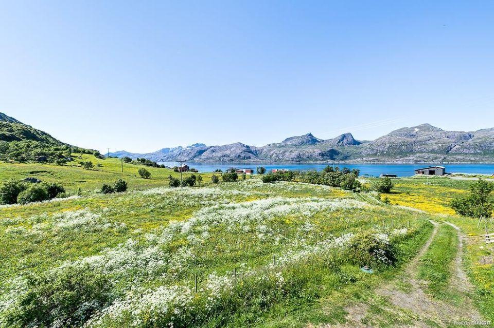 Vevika Lofoten Gravdal (Vestvagoy) Exterior photo