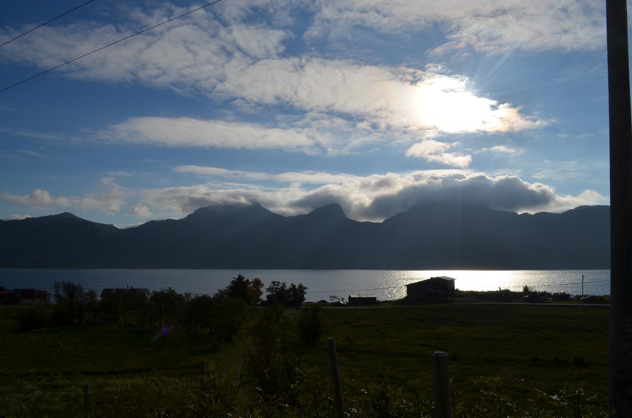 Vevika Lofoten Gravdal (Vestvagoy) Exterior photo